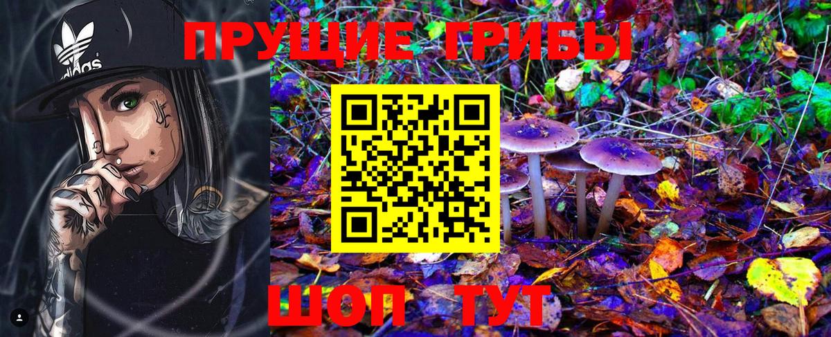 Нефтеюганск  Псилоцибиновые грибы MAGIC MUSHROOMS  Вход с VPN 